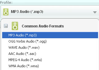 Select output audio formats for converting aa
