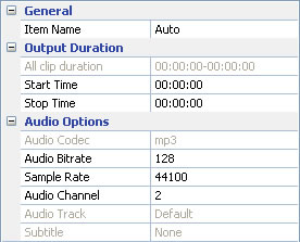 Set output audio parameters for converting aa
