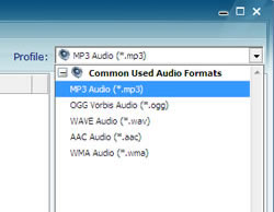 Select output audio formats