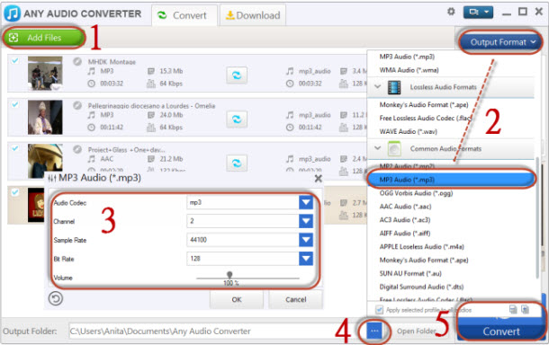 FLV to MP3 Converter