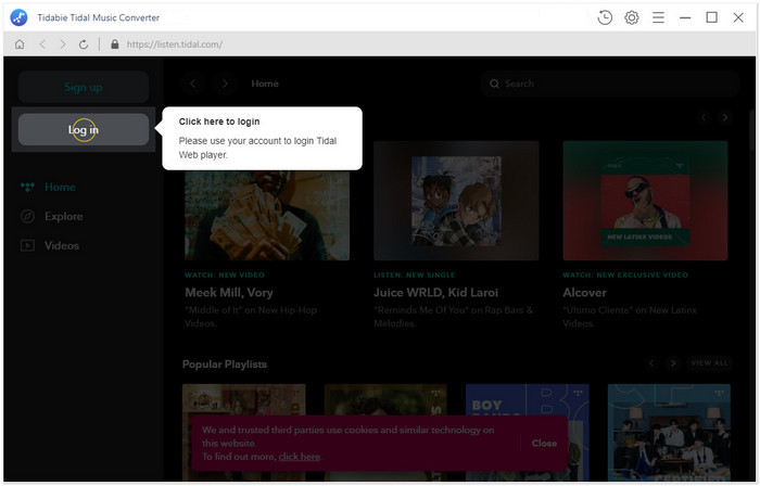 log in with Tidal account
