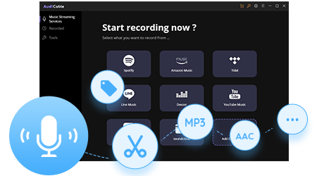 audicable audio recorder
