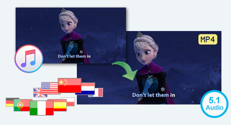 keep subtitles